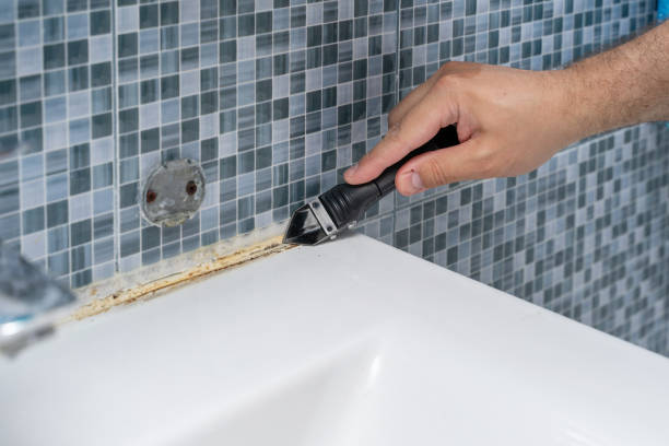 Best Health and Safety Mold Remediation in Elfers, FL